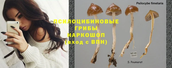 MDMA Белокуриха