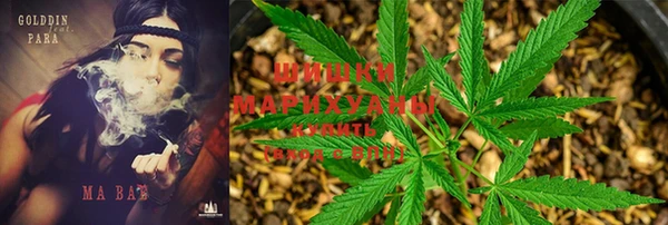 ГАЛЛЮЦИНОГЕННЫЕ ГРИБЫ Беломорск