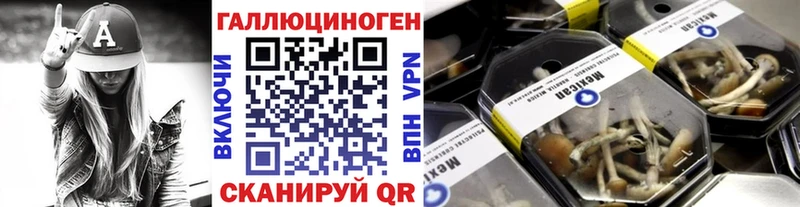Галлюциногенные грибы Psilocybine cubensis  Кувшиново 